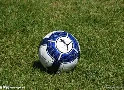 胡梅尔斯双,多特蒙德力,克弗赖堡,万博体育平台,万博体育官方网站,万博体育登录入口,万博体育app下载