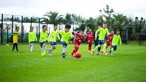 万博体育 产品 105223 w1a