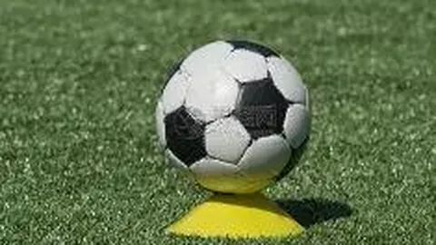 豫排联赛第二阶段完美落幕 星光璀璨点亮中原