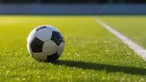 深入探索'+poster_name+'的世界