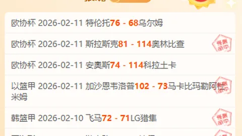 篮球盛宴：独行侠巅峰对决黄蜂，NBA焦点战等你来战！